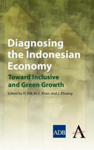 Carte Diagnosing the Indonesian Economy Hal Hill