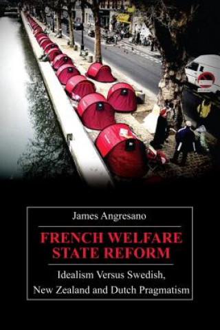 Kniha French Welfare State Reform James Angresano