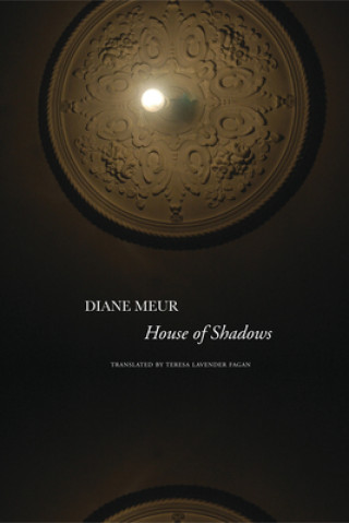 Книга House of Shadows Diane Meur