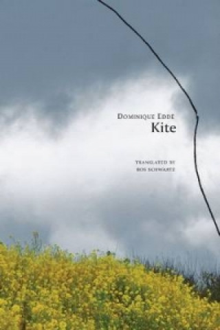 Libro Kite Dominique Edde