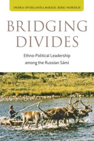 Buch Bridging Divides Indra Overland