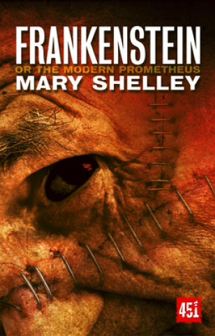 Book Frankenstein Mary Wollstonecraft Shelley