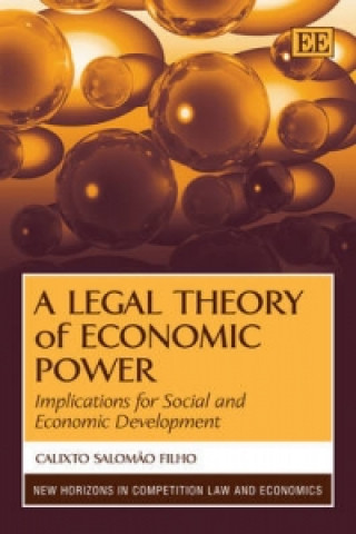 Buch Legal Theory of Economic Power Calixto Salomao Filho