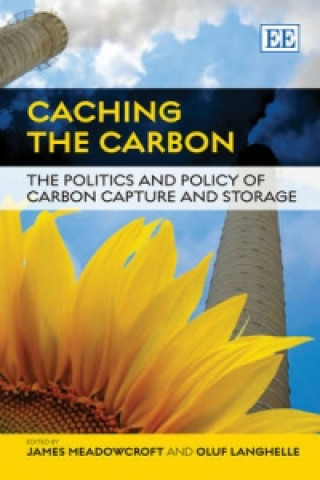 Könyv Caching the Carbon - The Politics and Policy of Carbon Capture and Storage 