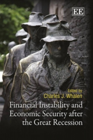 Kniha Financial Instability and Economic Security after the Great Recession Charles J. Whalen