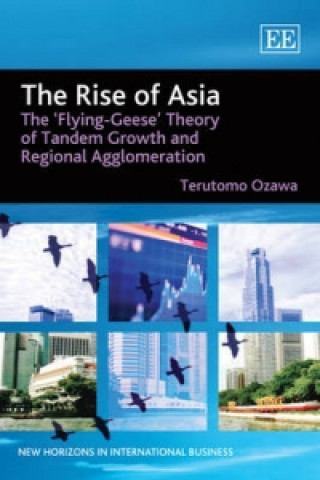 Buch Rise of Asia - The 'Flying-Geese' Theory of Tandem Growth and Regional Agglomeration Terutomo Ozawa