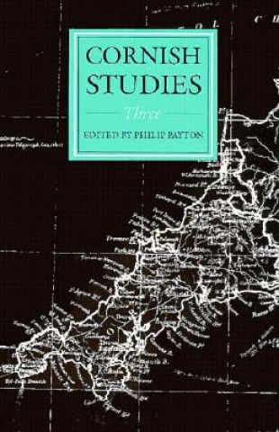 Kniha Cornish Studies Volume 3 Philip Payton