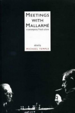 Buch Meetings With Mallarme Michael Temple