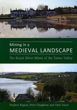 Könyv Mining in a Medieval Landscape Steve Rippon