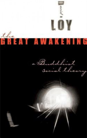 Kniha Great Awakening David R. Loy