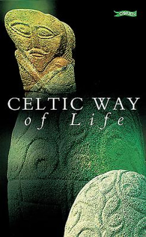 Книга Celtic Way of Life Curriculum Development Unit