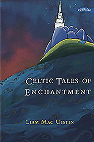 Könyv Celtic Tales of Enchantment Liam MacUistin