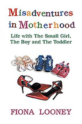 Kniha Misadventures in Motherhood Fiona Looney