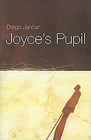 Buch Joyce's Pupil Drago Jančar