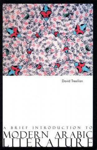 Könyv Brief Introduction to Modern Arabic Literature David Tresilian