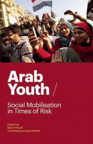 Книга Arab Youth 