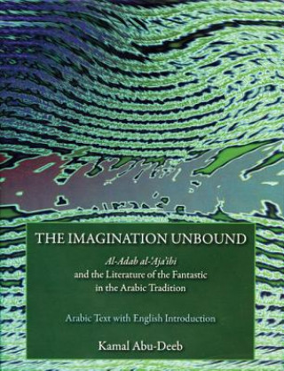 Kniha Imagination Unbound Kamal Abu-Deeb