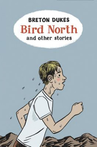 Buch Bird North and Other Stories Breton Dukes