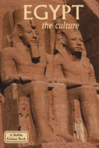 Kniha Egypt, the Culture Arlene Moscovitch