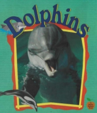 Kniha Dolphins Tammy Everts