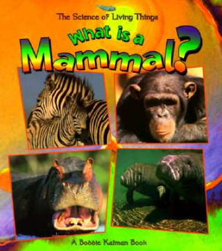 Carte What is a Mammal? Bobbie Kalman