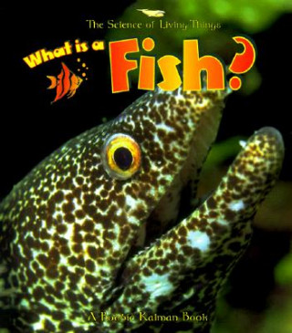 Book What is a Fish? Allison Larin