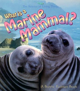 Kniha What Is A Marine Mammal Jacqueline Langille