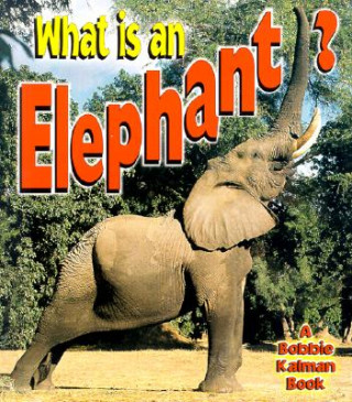 Buch What is an Elephant John Crossingham