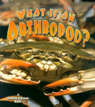 Könyv What is an Arthropod? Kathryn Smithyman