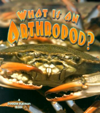 Kniha What is an Arthropod? Kathryn Smithyman