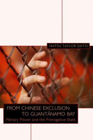 Könyv From Chinese Exclusion to Guantanamo Bay Natsu Taylor Saito