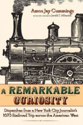 Книга Remarkable Curiosity Amos Jay Cummings