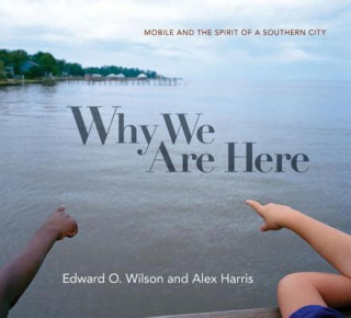 Könyv Why We Are Here Edward O. Wilson