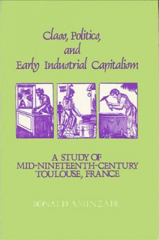 Könyv Class, Politics and Early Industrial Capitalism Ronald Aminzade