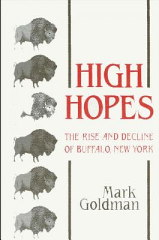 Książka High Hopes Mark Goldman