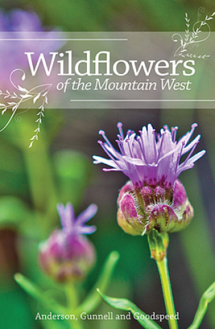 Kniha Wildflowers of the Mountain West Richard M Anderson