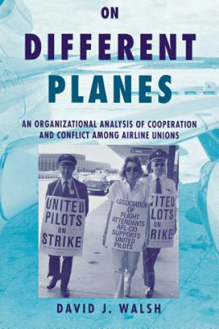 Kniha On Different Planes David J. Walsh