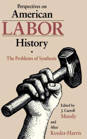 Kniha Perspectives on American Labour History 
