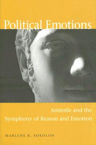 Kniha Political Emotions Marlene Sokolon