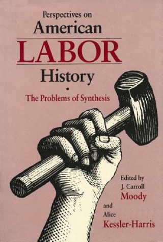 Книга Perspectives on American Labor History Moody