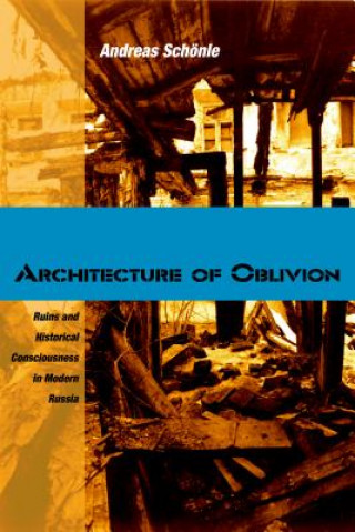 Book Architecture of Oblivion Andreas Schonle