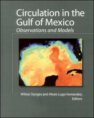 Könyv Circulation in the Gulf of Mexico - Observations and Models V161 Wilton Sturges