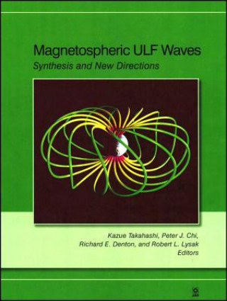 Kniha Magnetospheric ULF Waves - Synthesis and New Directions, V169 Kazue Takahashi