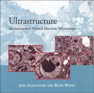 Digital Ultrastructure Ruth I. Wood
