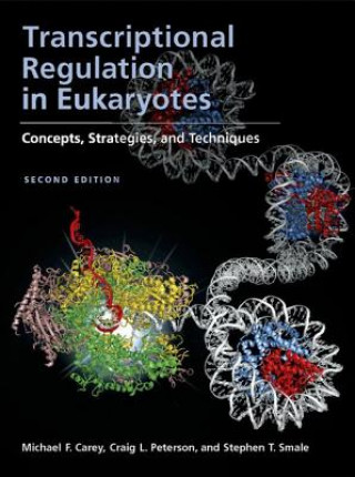 Kniha Transcriptional Regulation in Eukaryotes Michael F. Carey