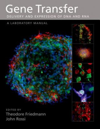 Buch Gene Transfer Theodore Friedmann