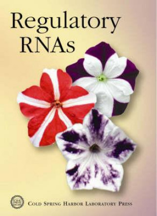 Book Regulatory RNAs 