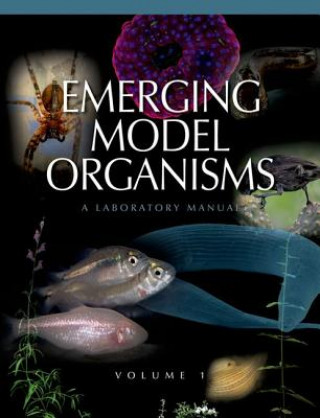 Książka Emerging Model Organisms Alexander Gann