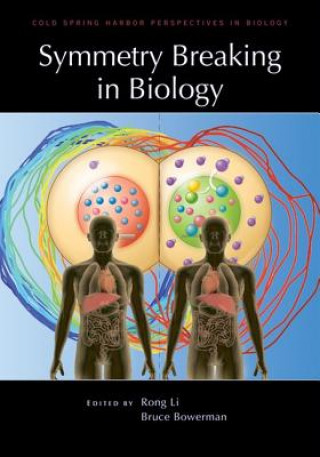 Livre Symmetry Breaking in Biology 