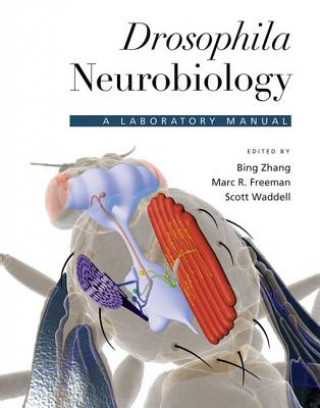 Buch Drosophila Neurobiology Bing Zhang